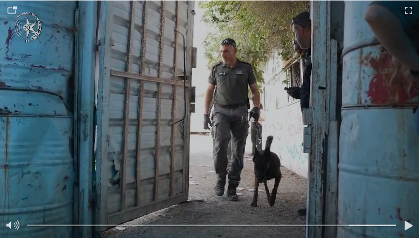 فيديو : القبض على مشتبه من الخليل بترويج المخدارت في القدس